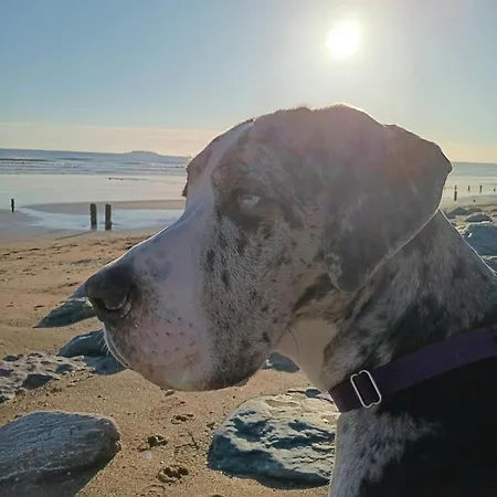 Bed & Breakfast Aisling Youghal