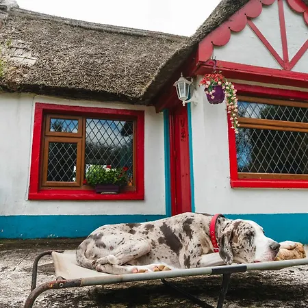 Bed & Breakfast Aisling