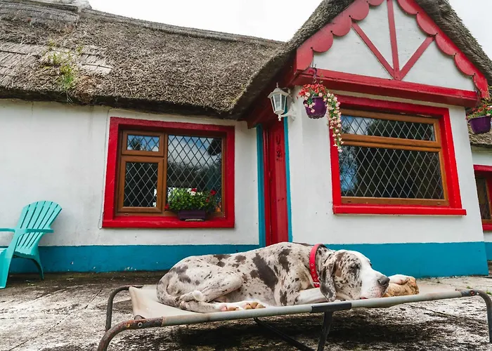 Bed & Breakfast Aisling